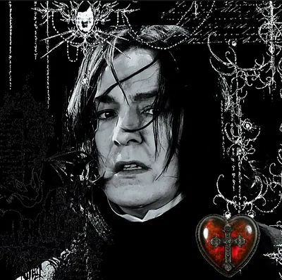 °❀⋆Severus Snape.ೃ࿔*:・