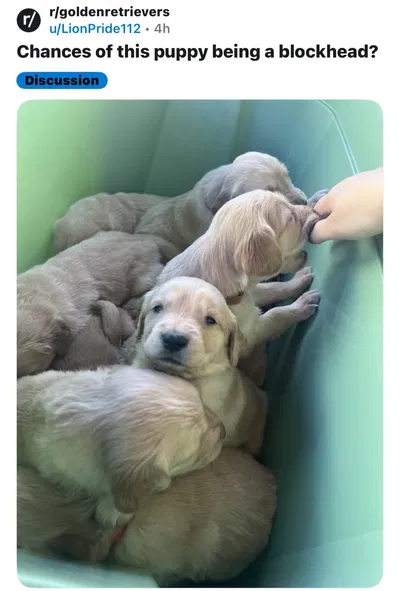 I’m too tired 