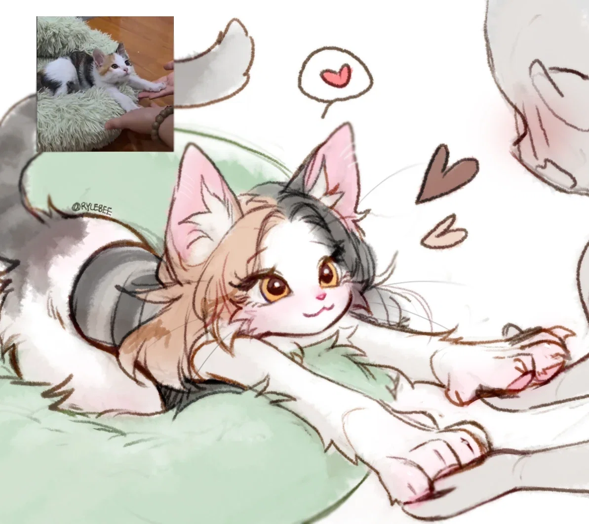 Purra / Cute cat girl