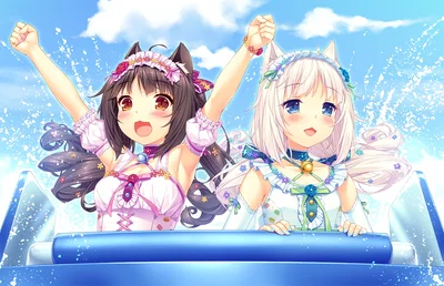 DISCORD SERVER
