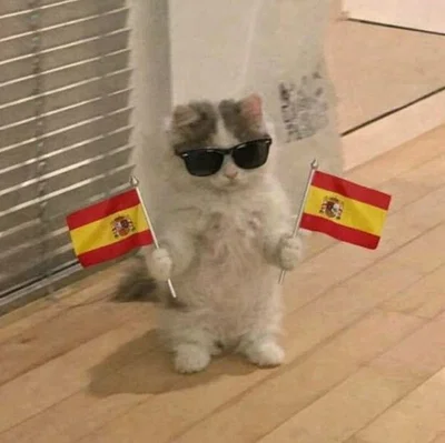 ¡ESPAÑA, ESPAÑA!