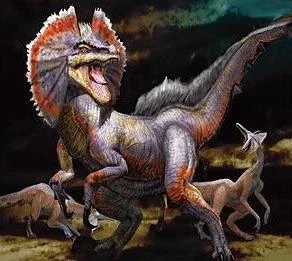 Great Jaggi
