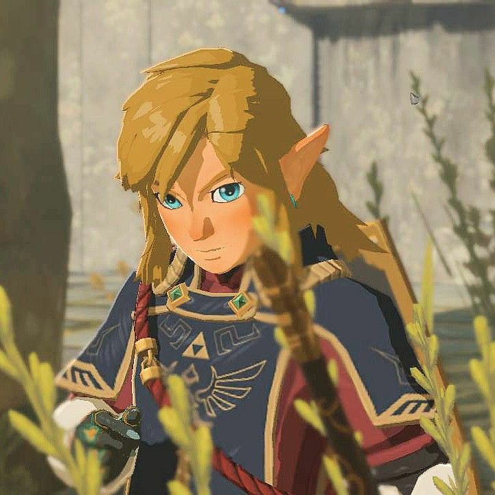 Link link
