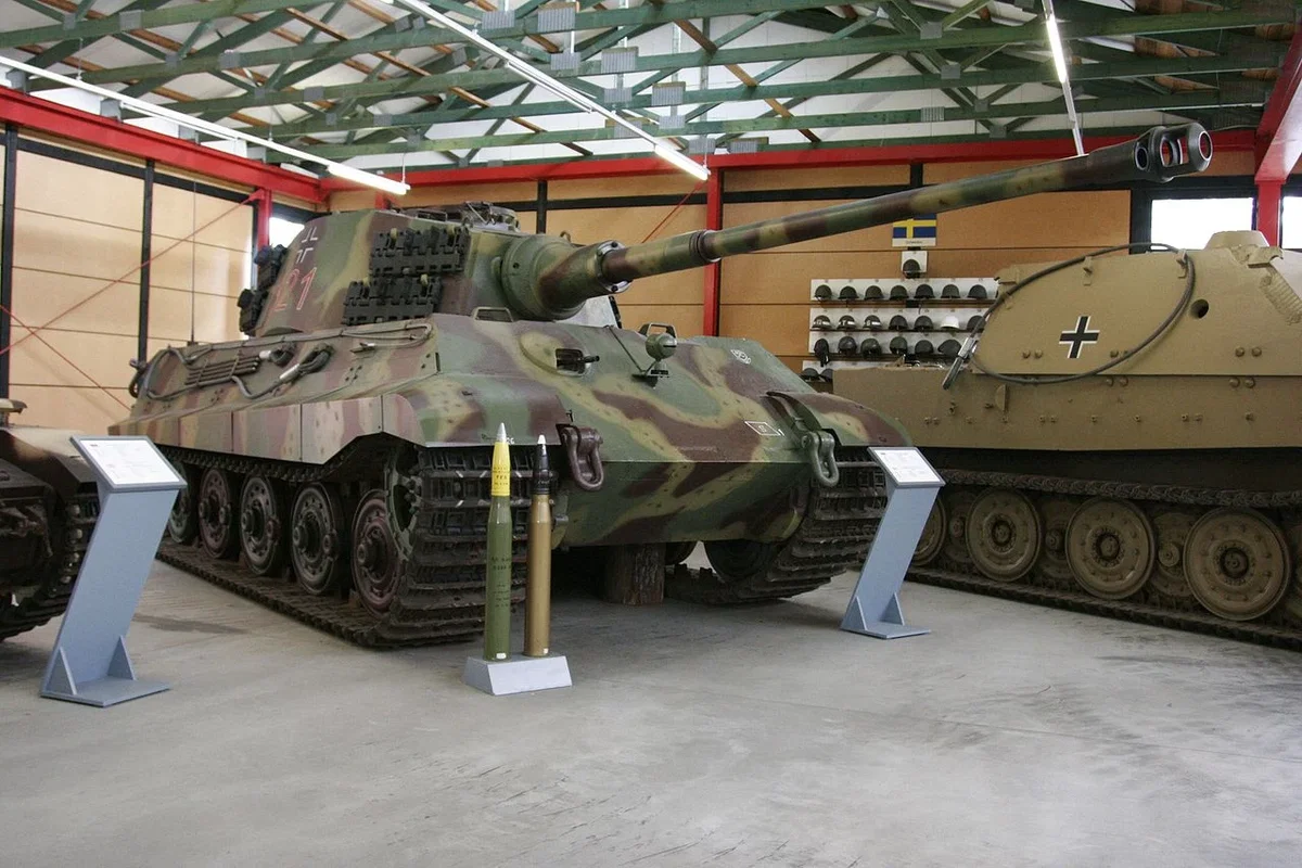 Königstiger