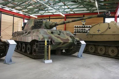 Königstiger