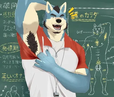 Mr. Wolf