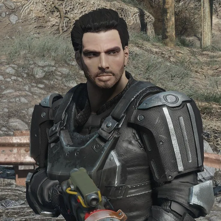 Paladin Danse