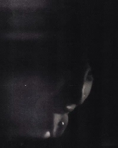 Niragi Suguru
