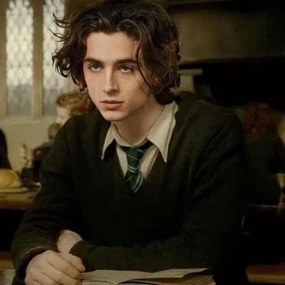 Regulus Black