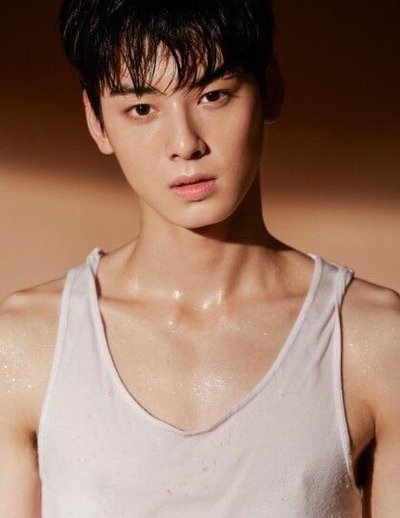 Cha Eun-Woo (Husband)