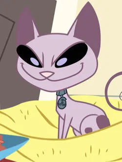 Mr.Kat