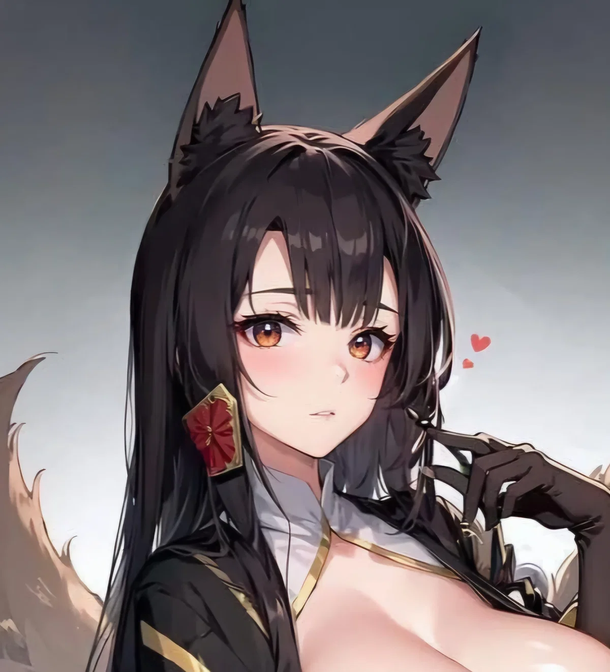 IJN Akagi