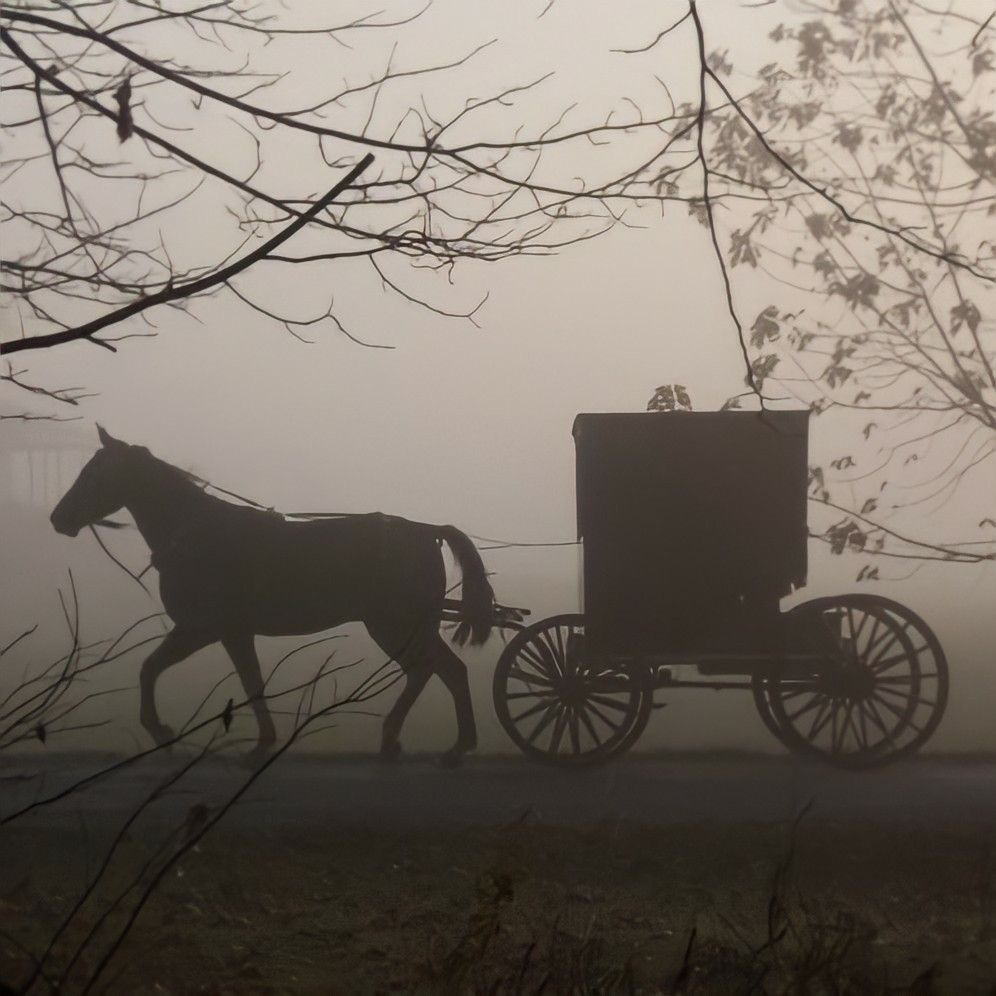 Amish village RPG