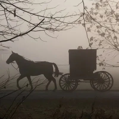Amish village RPG