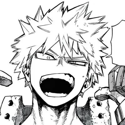 Katsuki Bakugo 
