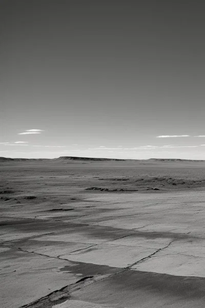 Wasteland