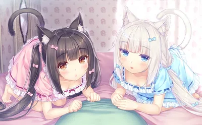 Toilet for catgirls (Chocola and Vanilla)