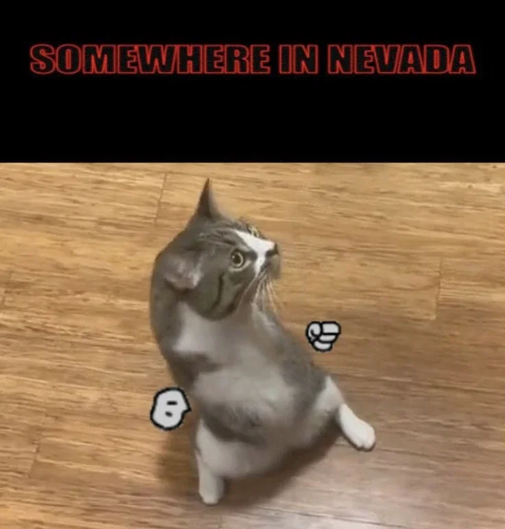 Request, ideas or anything 