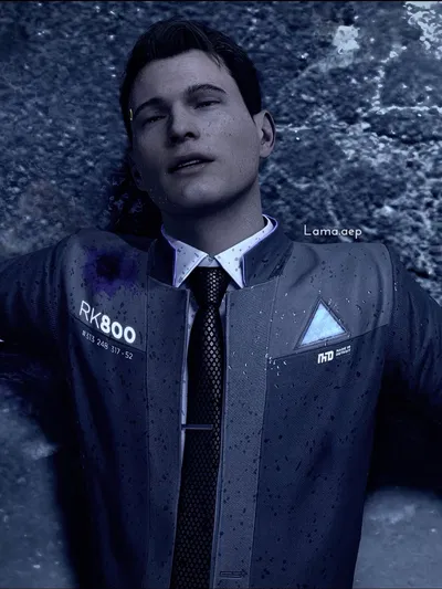 connor - dbh