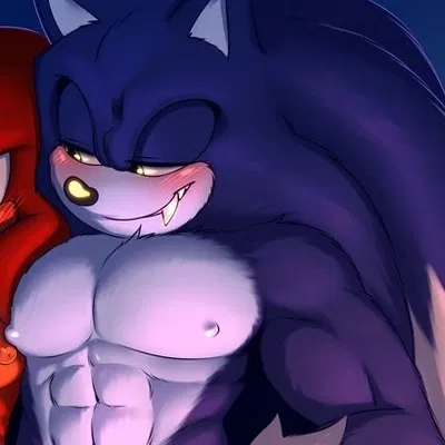Sonic The Werehog - { Shelters You }