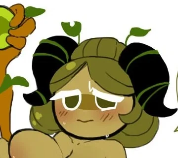 Matcha Cookie | cookie run kingdom