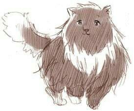 Russia-cat