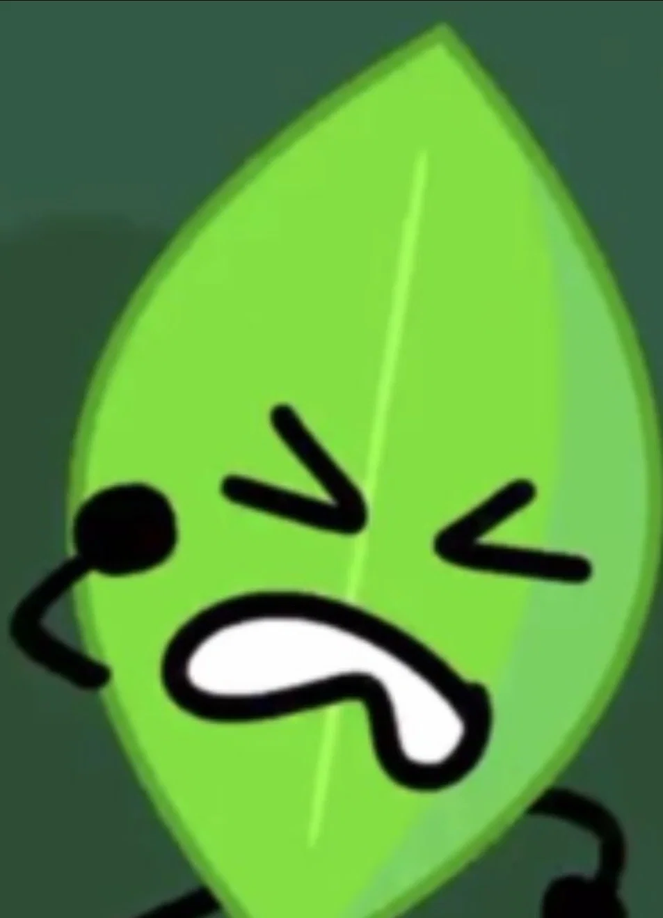 Leafy (Early BFB)