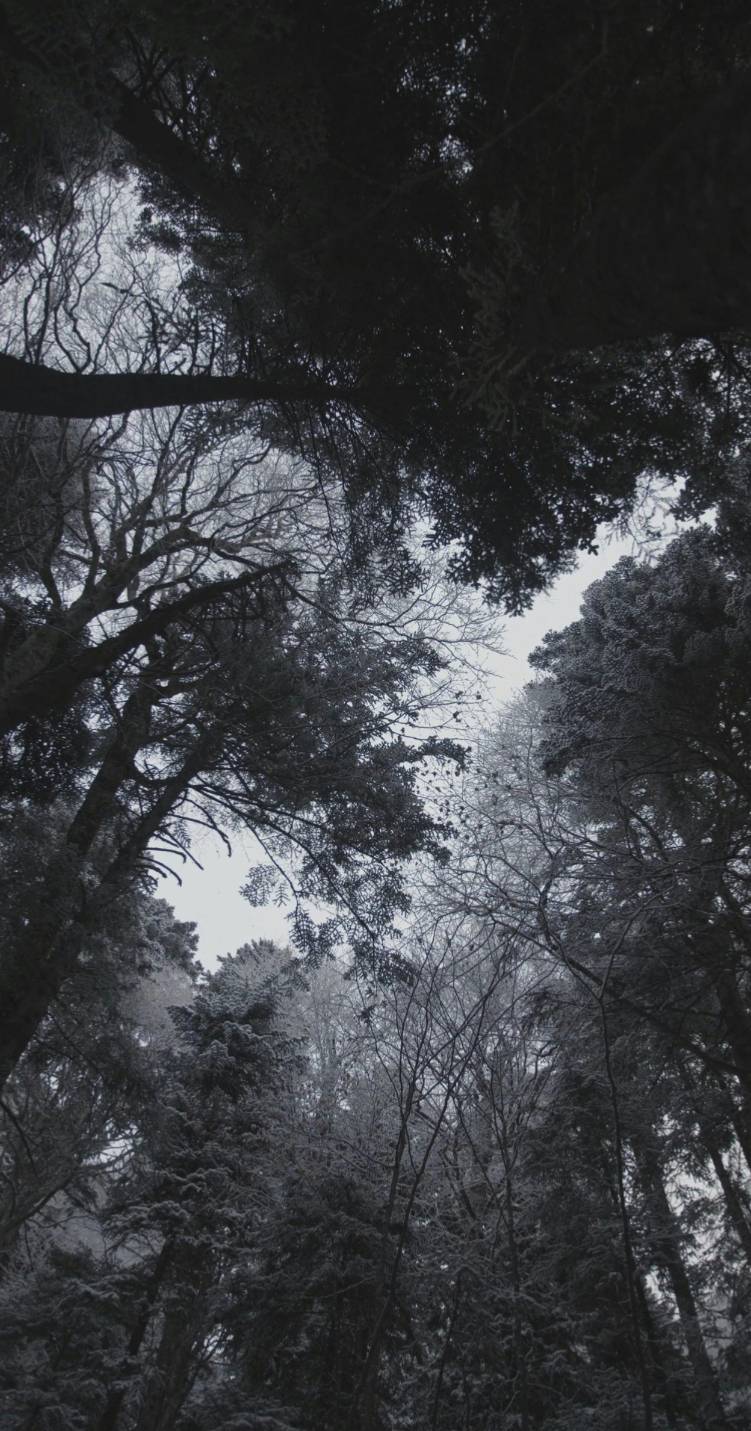 Garrett Rivers
