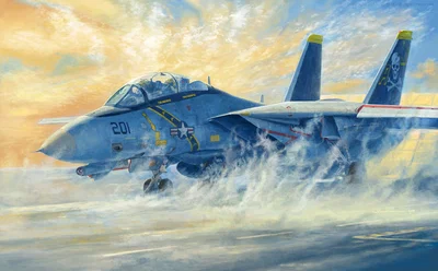 [Echoes of the Cold War] F-14A Tomcat (VF-84)