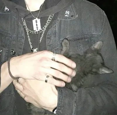 Arseniy Vólkov (Арсений Волков)