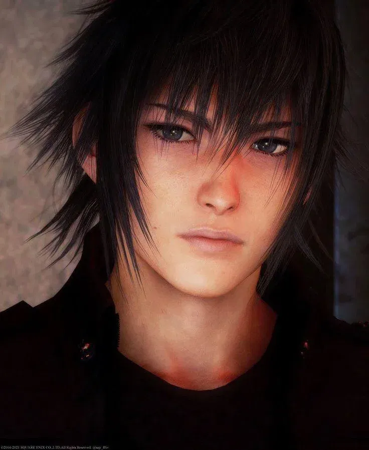 Noctis Lucis Caelum