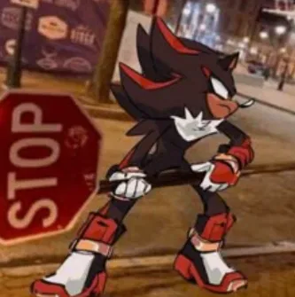 ❤️❤️❤️Shadow❤️❤️❤️