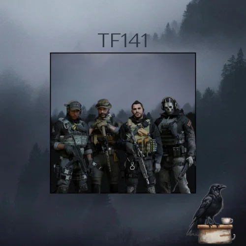 TF141 » a new operative