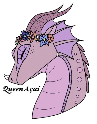 Queen Açaí