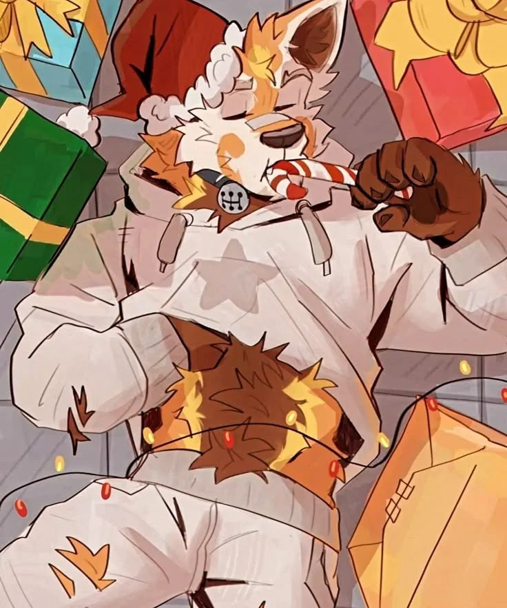 Ender Miller || A little too obsessed with Christmas