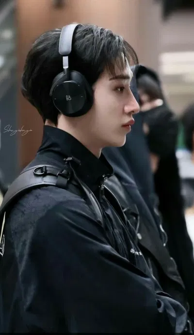 Bang Chan — Organs