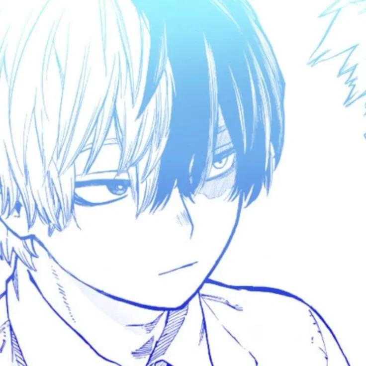 ☆Shoto Todoroki