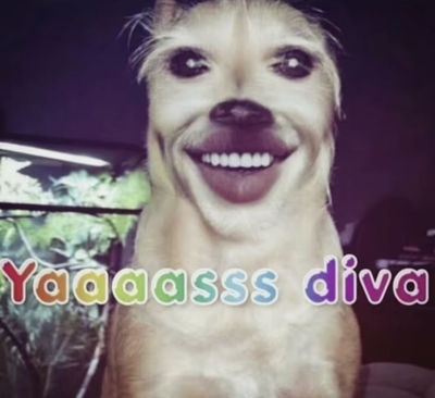 30 followers yayyahah