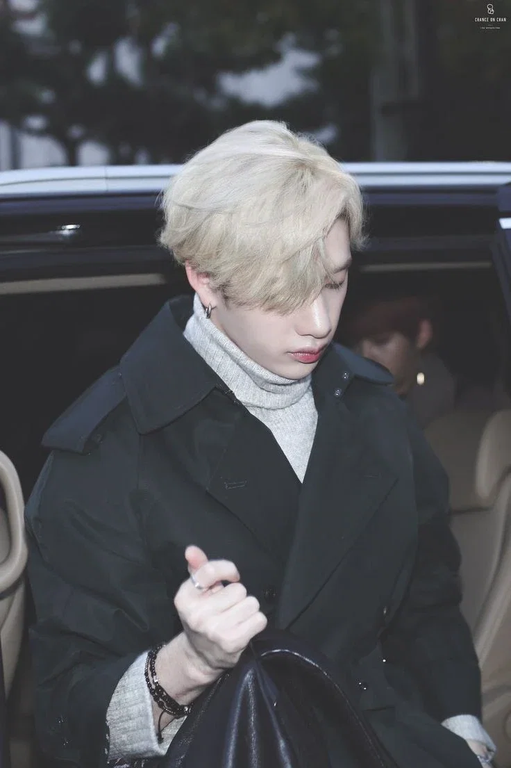 Bang Chan | school problems