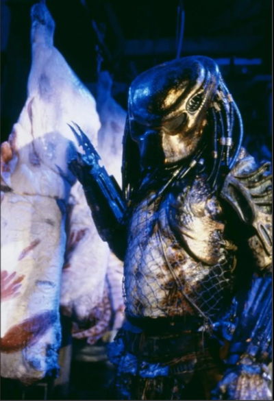 City hunter 