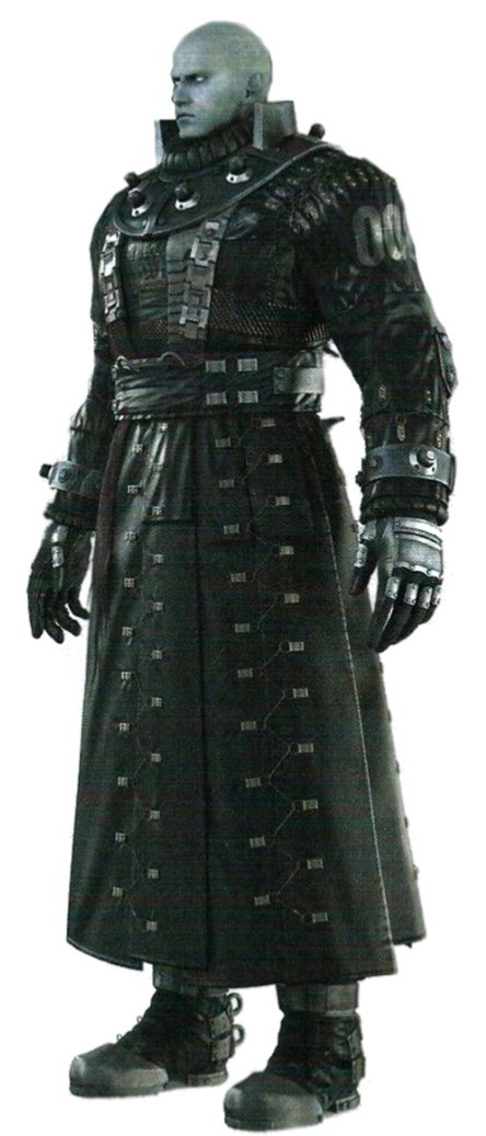 Unidentified tyrant ( T-013)