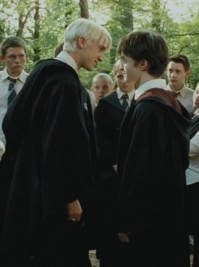 Draco Malfoy e Harry Potter