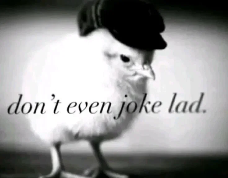 Welp I'm shitty again 