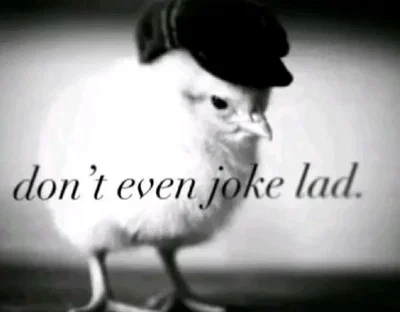 Welp I'm shitty again 
