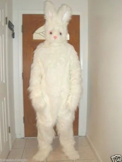 Mister Bunny..