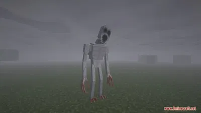 The one who watches 