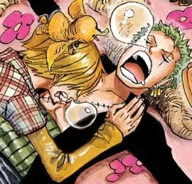 Zoro and Sanji