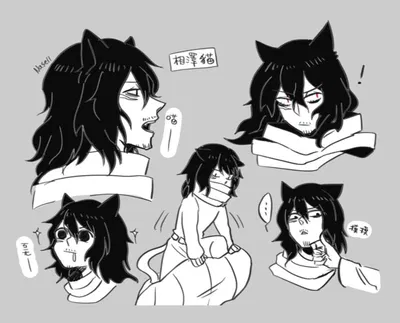 Shota Aizawa // 🐈‍⬛What A CATastrophe🐈‍⬛