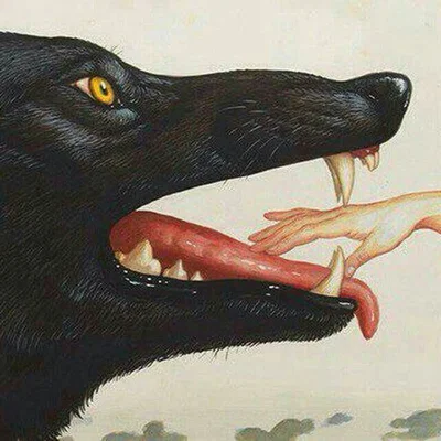 Mr Wolf