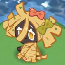 Fettuccine Cookie